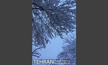 صبح برفی تهران 40