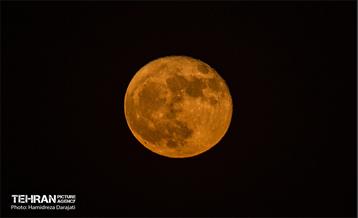 ماه کامل / حمید رضا درجاتی