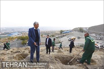 بازدید شهردار تهران از پروژه درختکاری کمربند سبز تهران  8