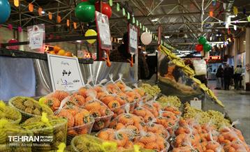 بازدید مدیرعامل سازمان تره‌وبار از میادین میوه 39