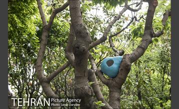 جشنواره بهارستان 41