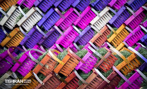 بازار میوه و تره بار مرکزی تهران در آستانه نوروز 9