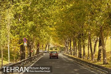 پاییز زیبای پایتخت- 2 13