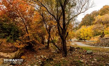 رود دره فرحزاد 24