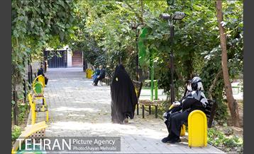 بوستان هورفر 7