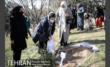آیین کاشت نهال دوستی با حضور همسران دیپلمات مقیم ایران 25