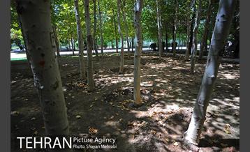 بوستان تمدن (گلبرگ) 12