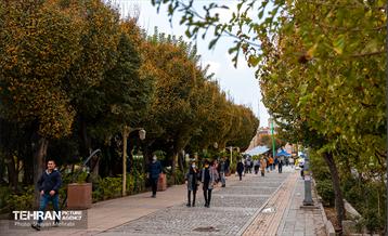 سمفونی رنگ های پاییزی  15