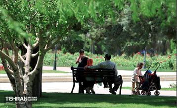 طبیعت بهاری در باغ ملی گیاهشناسی ایران 33