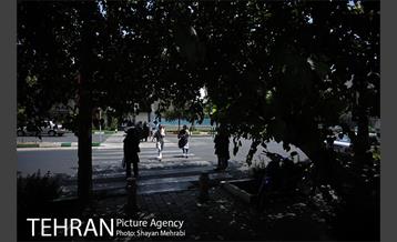 میدان هفت حوض (نبوت) 24