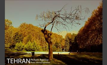 کاخ سعدآباد تهران 12