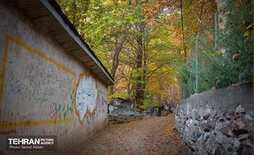 سمفونی رنگ های پاییزی - دربند 19