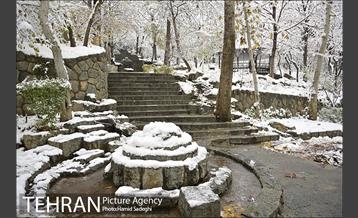 طبیعت برفی شمال تهران 12