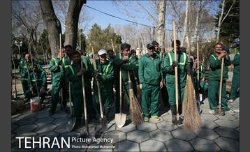 غرس نهال در بوستان بهاران 15