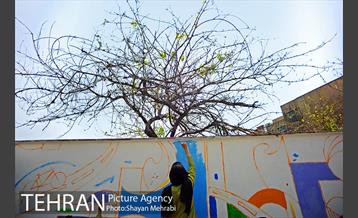 رنگ آمیزی و طراحی جداره شهری در منطقه 7 21