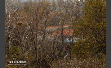 آخرین روزهای پاییزی  31