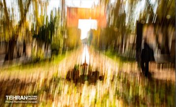 گذرگاه های پاییزی پایتخت - باغ فردوس  22