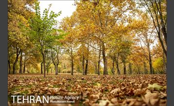 پاییز زیبای پایتخت 9