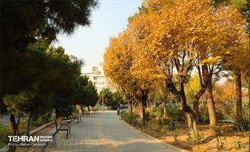 گذرگاه های پاییزی پایتخت - منطقه 13