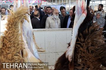 بازدید رییس شورای اسلامی شهر تهران و مدیر عامل سازمان میادین شهرداری تهران از مراکز عرضه بهداشتی دام 5