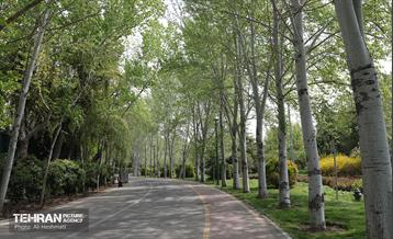 بوستان بانوان نرگس 44