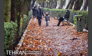 سمفونی برگ های پاییزی 7