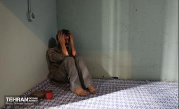 نمایشگاه عبرت در باغ موزه قصر 13