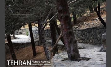 بوستان جمشیدیه 15