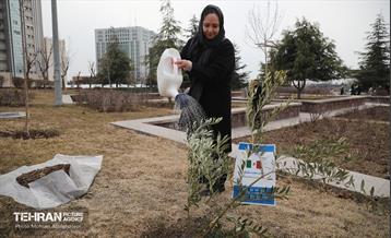 آئین روز درختکاری با حضور سفیران و نمایندگان کشورهای خارجی 9