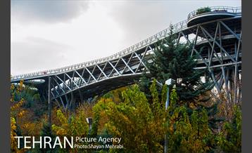 پاییز پل طبیعت 10