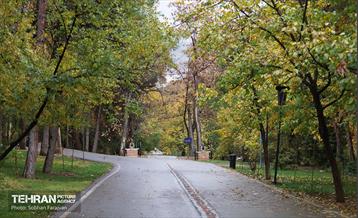 طبیعت پاییزی مجموعه فرهنگی تاریخی سعدآباد  17
