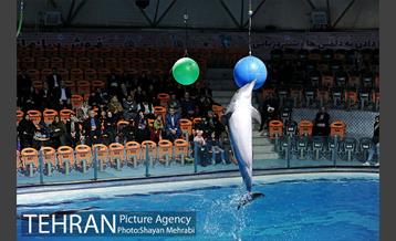 حضور خانواده هاى کارکنان شهردارى تهران در دلفیناریوم برج میلاد به همراه شهردار تهران 23