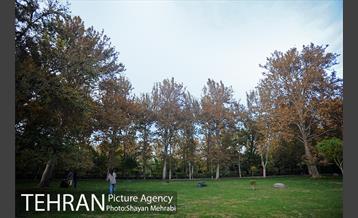 طبیعت پاییزی بوستان لاله 12