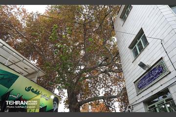 تور گردشگری محله کن 29