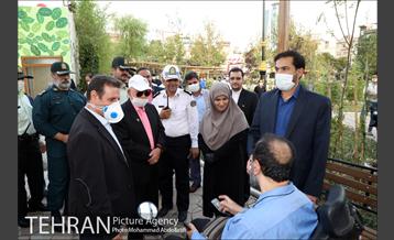 بازپیرایی بوستان قمربنی هاشم(ع)در شب میلاد امام رضا(ع) 5