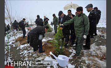 مراسم روز درختکاری با حضور شهردار تهران و رئیس مجلس 35