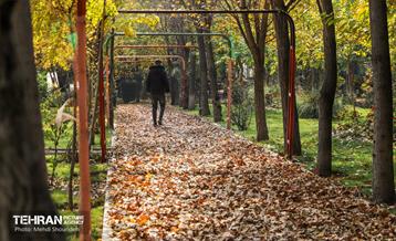 سمفونی رنگ های پاییزی - بوستان اندیشه 7