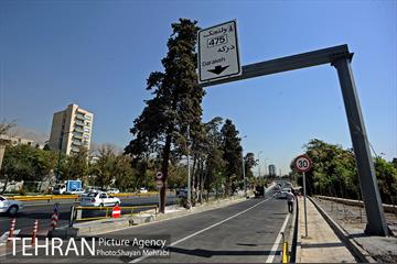 پل غیر همسطح بزرگراه شهید چمران (پل شهید نوروزی) 22
