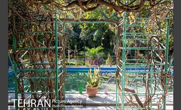 بوستان هورفر 15