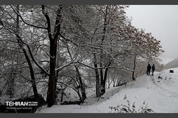 بارش برف زمستانی در تهران 19