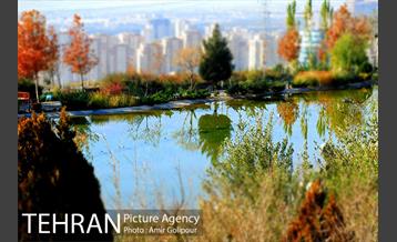 آبشار رنگارنگ 9