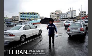 بارش باران بهاری در تهران 23