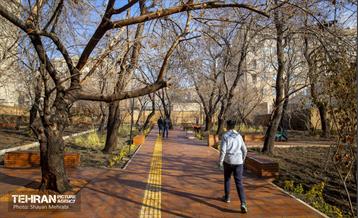 باغ گلاریس 50