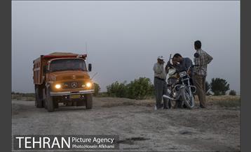 برداشت گندم در مزارع جنوب تهران‎ 16