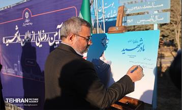 آیین رونمایی از المان مادر شهید 3