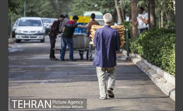 نماز عید فطر در امام زاده ابوالحسن(ع) 4