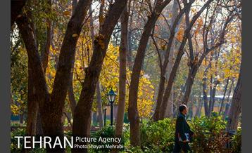 پاییز باغ ایرانی 15