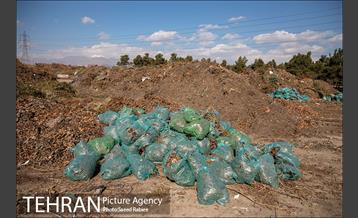 تولید کود کمپوست در پارک جنگلی آزادشهر 3