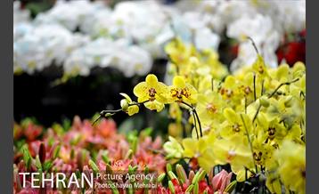 نمایشگاه گل و گیاه در بوستان گفتگو 10