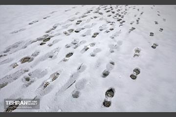 بارش برف زمستانی در تهران 29